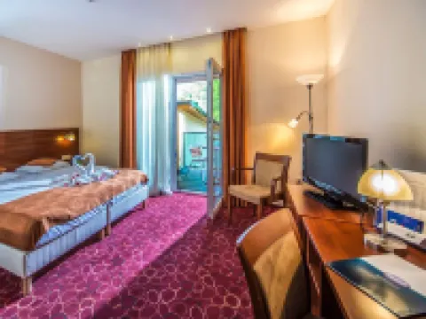 帕塔克公園酒店 維謝格拉德酒店