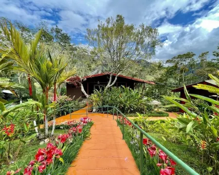 佩利卡諾山酒店 里瓦斯酒店