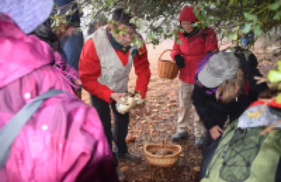 Miralmundo Alojamientos Rurales Ayna - Hostal Rural