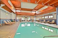 Quality Inn Homestead Park - Pools