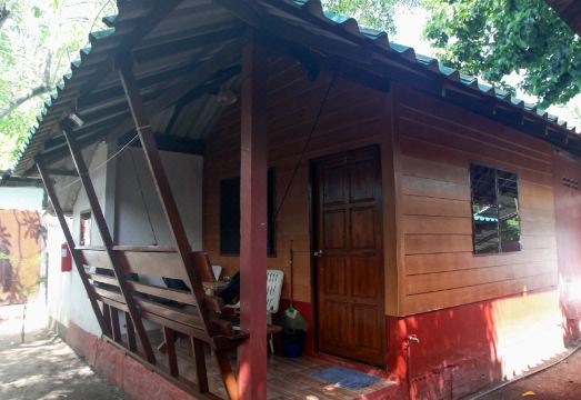 패밀리 송 코리페