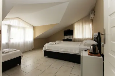 Green Peace Hotel Hotels in 