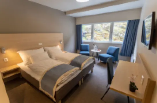 Lærdal Hotel Hotels in 