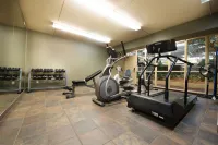Victoria Inn Hotel & Convention Centre Brandon - Gym
