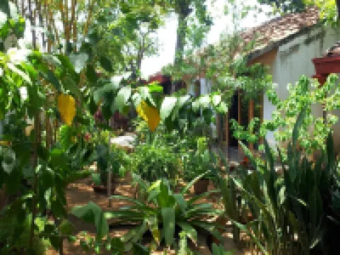 Hotel il Padrino Hoteles en Granada