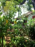 Hotel il Padrino Các khách sạn ở 