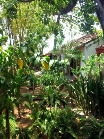 Hotel il Padrino Отели в г. Гранада