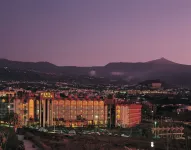 Hotel Puerto Palace