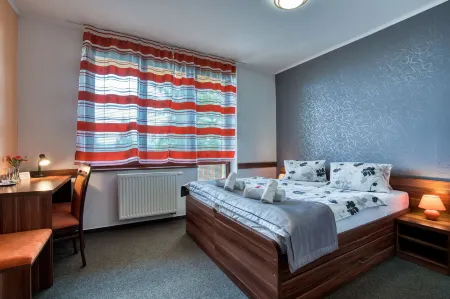 Hotel Avalanche Отели в г. Высоке Татры