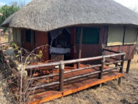 莎亞摩耶老虎捕魚娛樂小屋