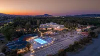Domes Aulus Zante, Autograph Collection