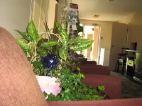 サンセット イン