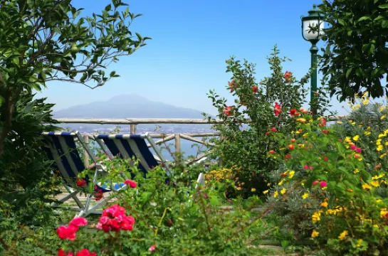 安巴夏託理大酒店