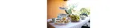 La Foce Village&Camping