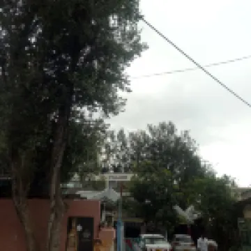 New Village Park Resort