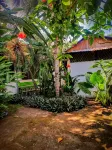 Arana House