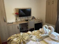 Hotel Sonne Hotels in Weingarten