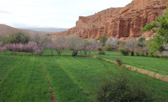 Kasbah Flilou