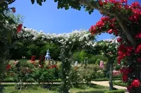 Shimoda Ocean Park Hotel