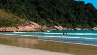 我在熱帶海灘的地方 - 民宿