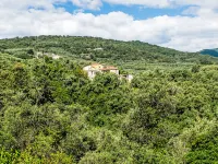 Sul Cammino
