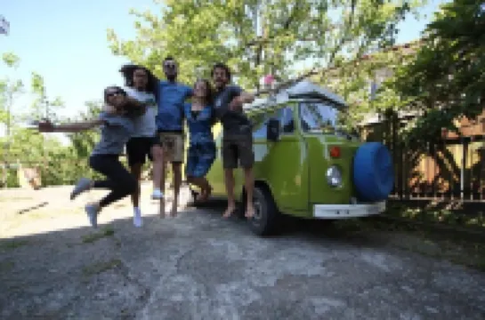 Dingo Backpackers Hostel Hotels in 