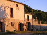 Adorable studio surrounded by greenery, ideal for couples