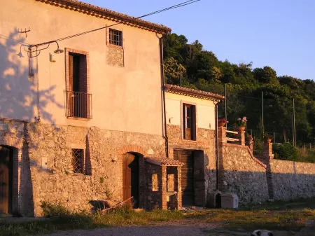 Adorable studio surrounded by greenery, ideal for couples