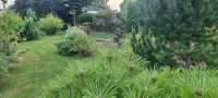 - Le Torii - Les gîtes d'Hélène et Wil