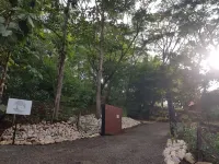 Dylia x1f343; Hotel Baliyana Lodge in the x1f49a; of nature.