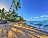 Spacious, Great Location. Close to Beaches!- 1 bedroom condo - Pool, WiFi, AC!