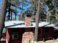 Grizzly’s Getaway in the Mountains! 45 minutes to white sands., Dogs Welcome 클라우드크로프트 호텔