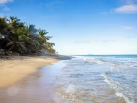 PELICAN REEF BEACHFRONT 2 BED 1 BATH A/C ON SMALL FARM, SURF RIGHT OUT FRONT Hotels in Aguada