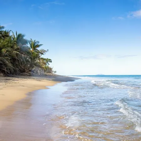 PELICAN REEF BEACHFRONT 2 BED 1 BATH A/C ON SMALL FARM, SURF RIGHT OUT FRONT