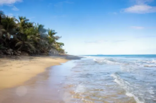 PELICAN REEF BEACHFRONT 2 BED 1 BATH A/C ON SMALL FARM, SURF RIGHT OUT FRONT