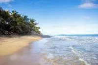 PELICAN REEF BEACHFRONT 2 BED 1 BATH A/C ON SMALL FARM, SURF RIGHT OUT FRONT Hotel a Aguada