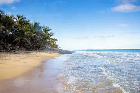 PELICAN REEF BEACHFRONT 2 BED 1 BATH A/C ON SMALL FARM, SURF RIGHT OUT FRONT Отели в г. Агуада