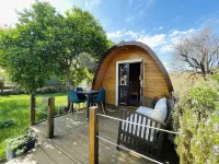 The Gold Pod, Relax and Enjoy on a Glamping House