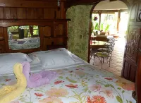 5 Bedroom, 3 level Treehouse Style Home near Corcovado National Park, and Beach. Hotels in Puerto Jimenez