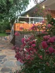 SOLAR - AFRICAN CHIC, COMFORTABLE, SUPER CLEAN AND CENTRAL Hotels in Observatory
