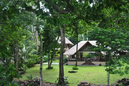 Amazing  Oceanfront House in Cabo Matapalo with pool.Two surfboards..