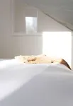maison blanche luxury retreat - WiFi