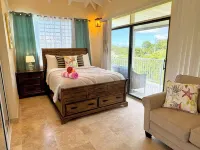 spacious and cozy 1 bedroom with garden views and AC-1 mile from Cruz Bay Các khách sạn ở 