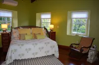 Upscale Historic Luxury in Frederiksted - 2 Blocks from the Best Beach on STX Hotels in Frederiksted
