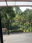 Enchanted Monkey Apartment