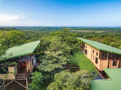 Unique 3BR Costa Rica Jungle Tree House near Playa Negra