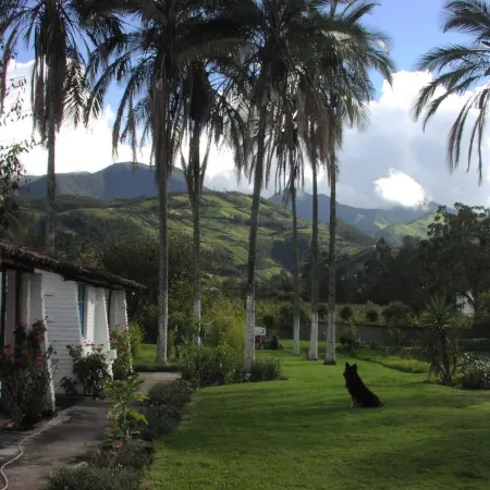 Las Palmeras Inn