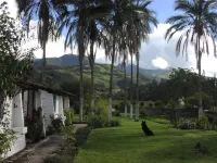 Las Palmeras Inn Hotels in 