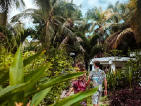 Casa del Pavo Real Boutique Hotel Yoga & Spa Hotels in Dibulla