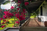 호텔 아시엔다 수프라카페